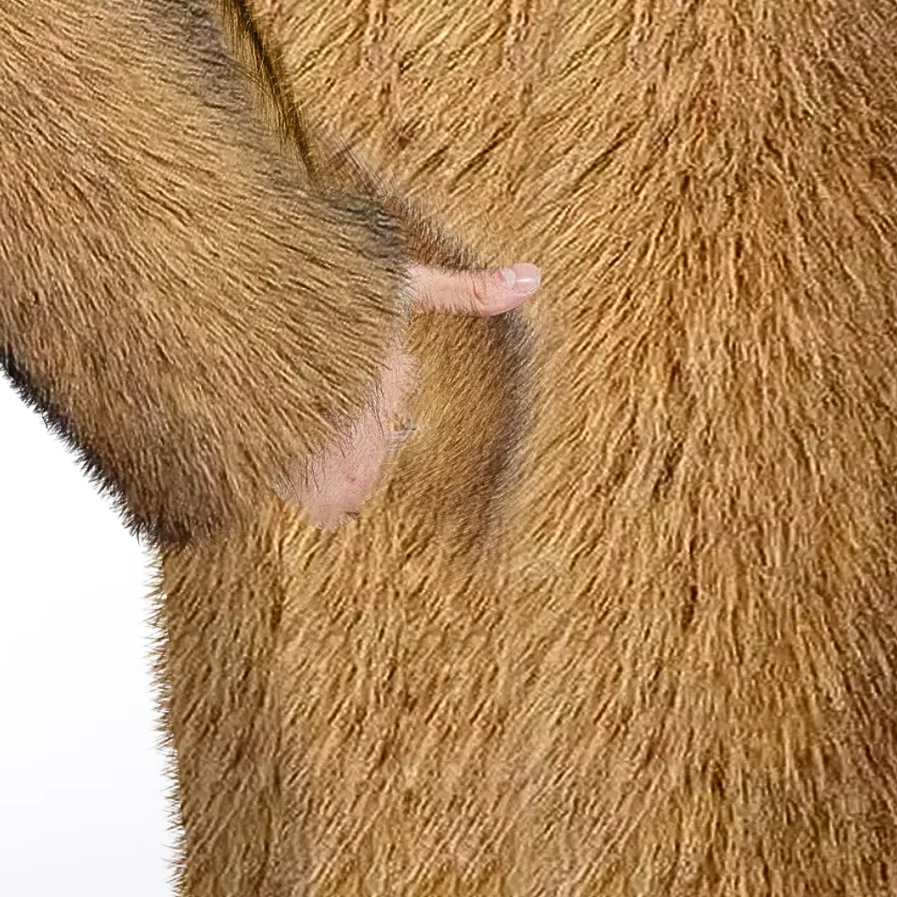 Kayl - stijlvolle herenwinterjas voor een verfijnde look