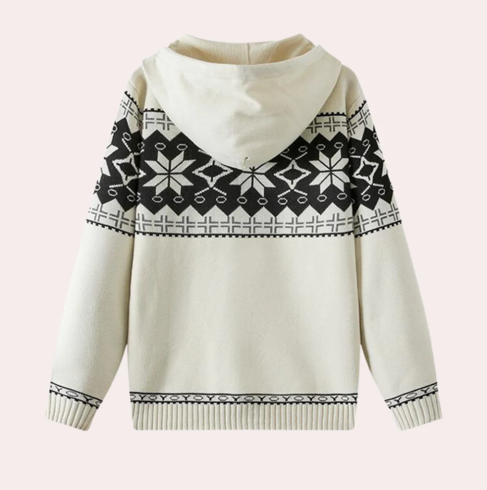 Orvalle - casual hoodie voor heren